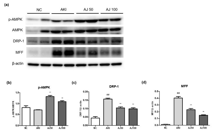 Fig 3.