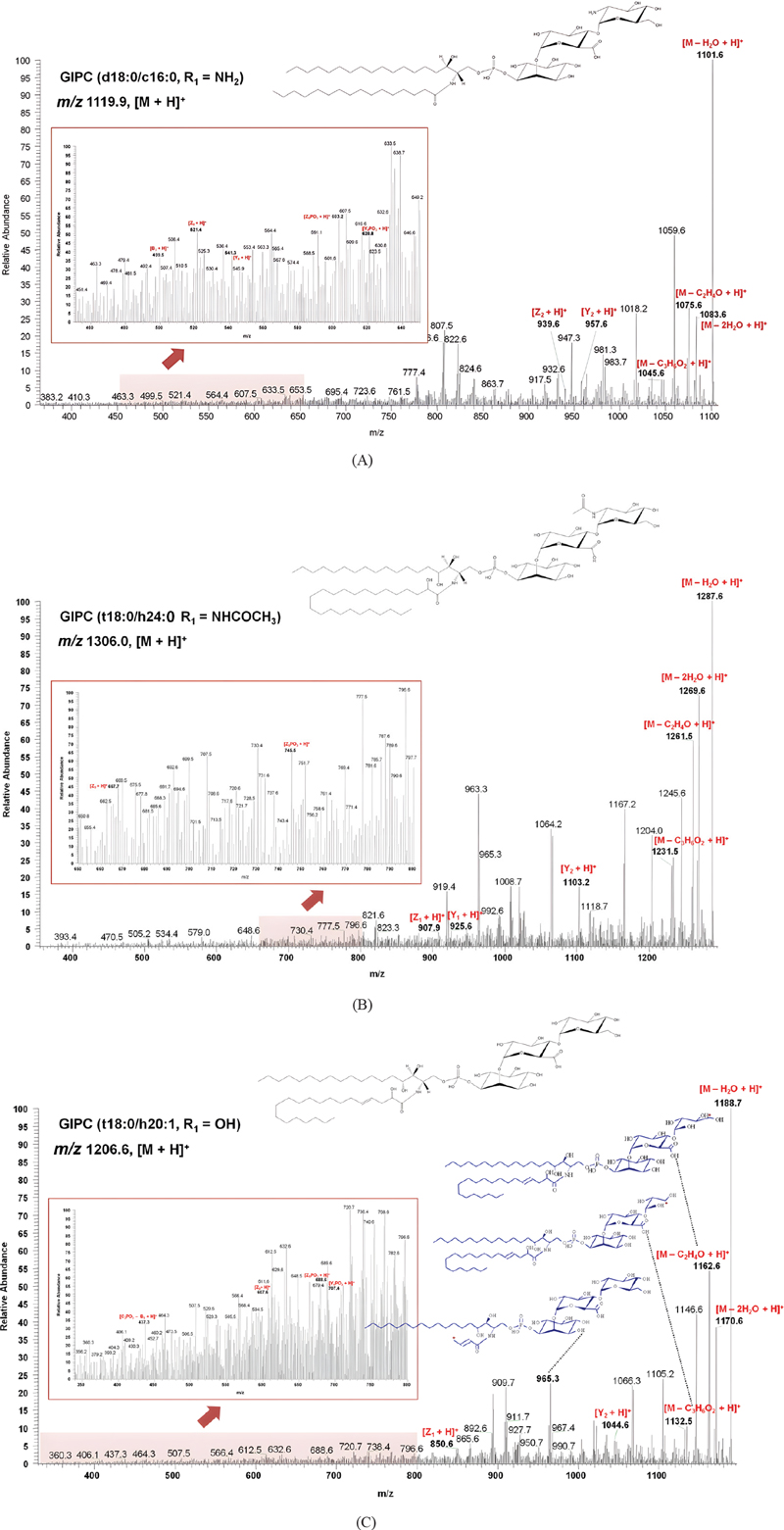 Fig. 2.