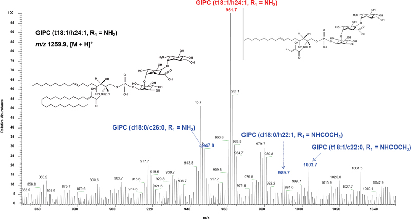 Fig. 4.