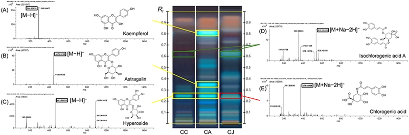 Fig. 3.