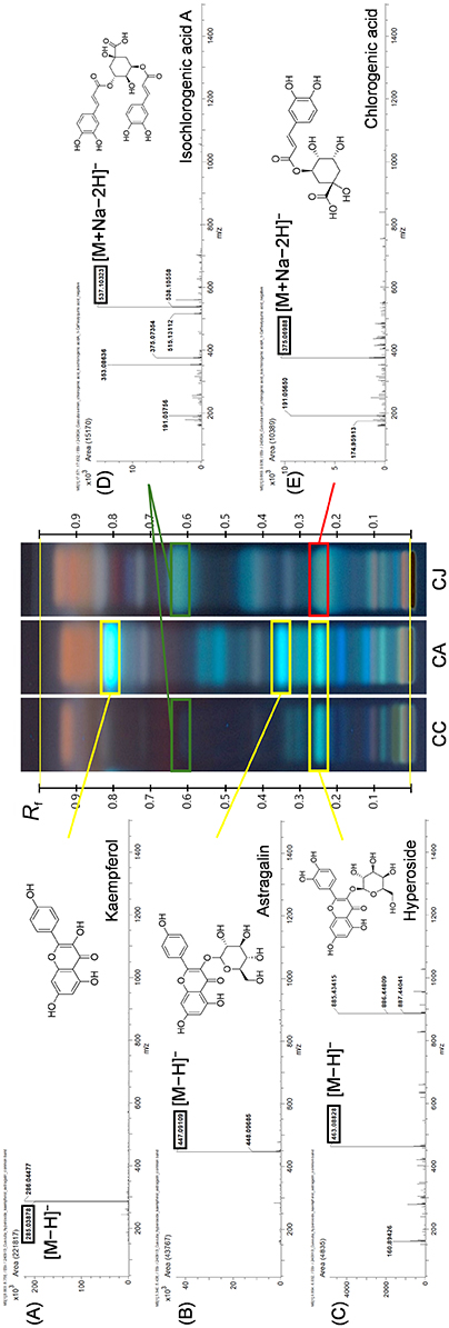 Fig. 4.