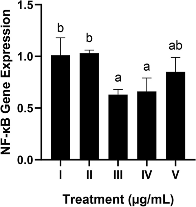 Fig. 5.