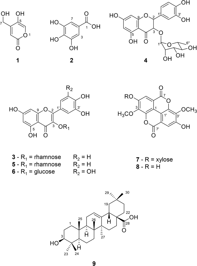 Fig. 1.