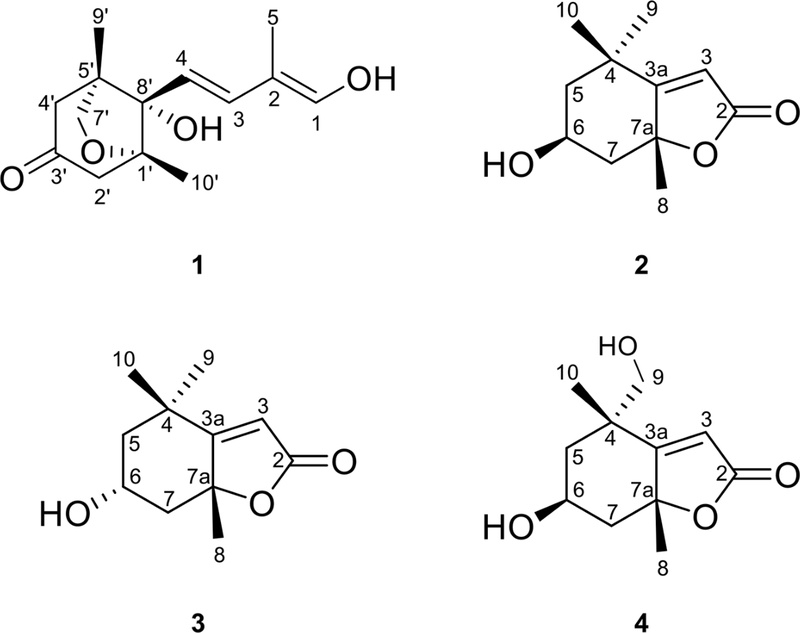 Fig. 1. Fig. 1.