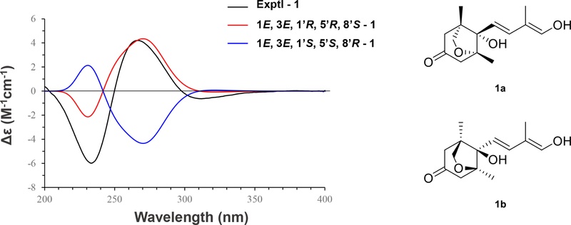 Fig. 4. Fig. 4.