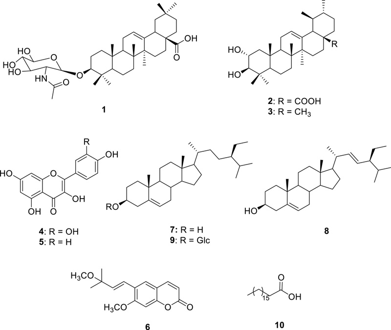 Fig. 1. Fig. 1.
