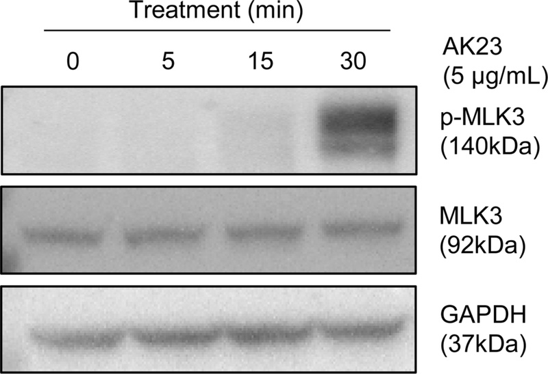 Fig. 1. 