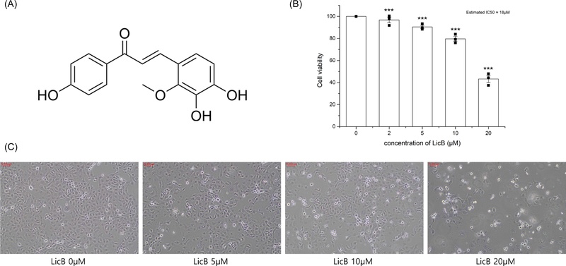 Fig. 1. 