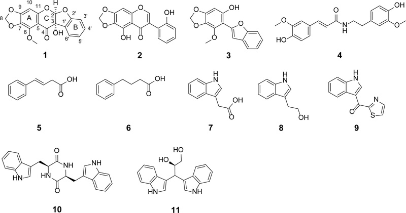 Fig. 1. 