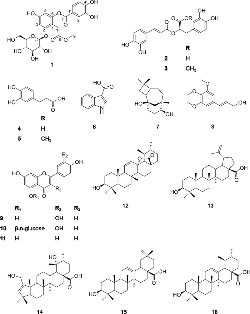 Fig. 1. 