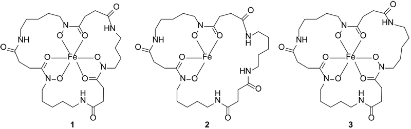 Fig. 3.